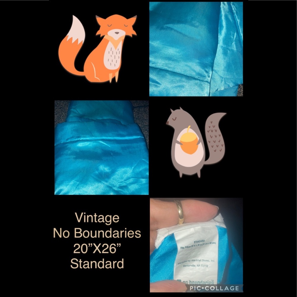 2 No Boundaries standard satin pillow cases